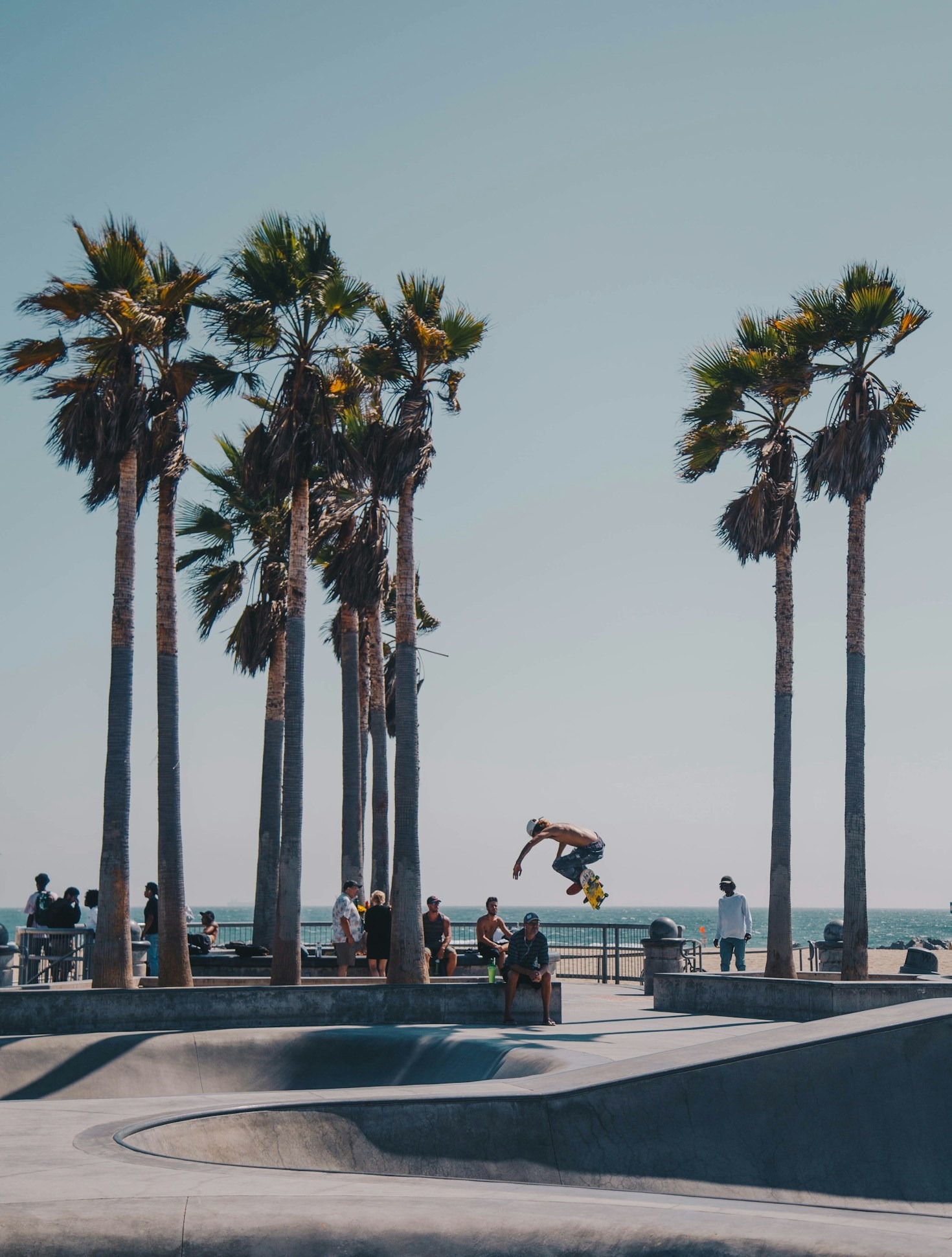 A Evolução da Cultura do Skate no Brasil